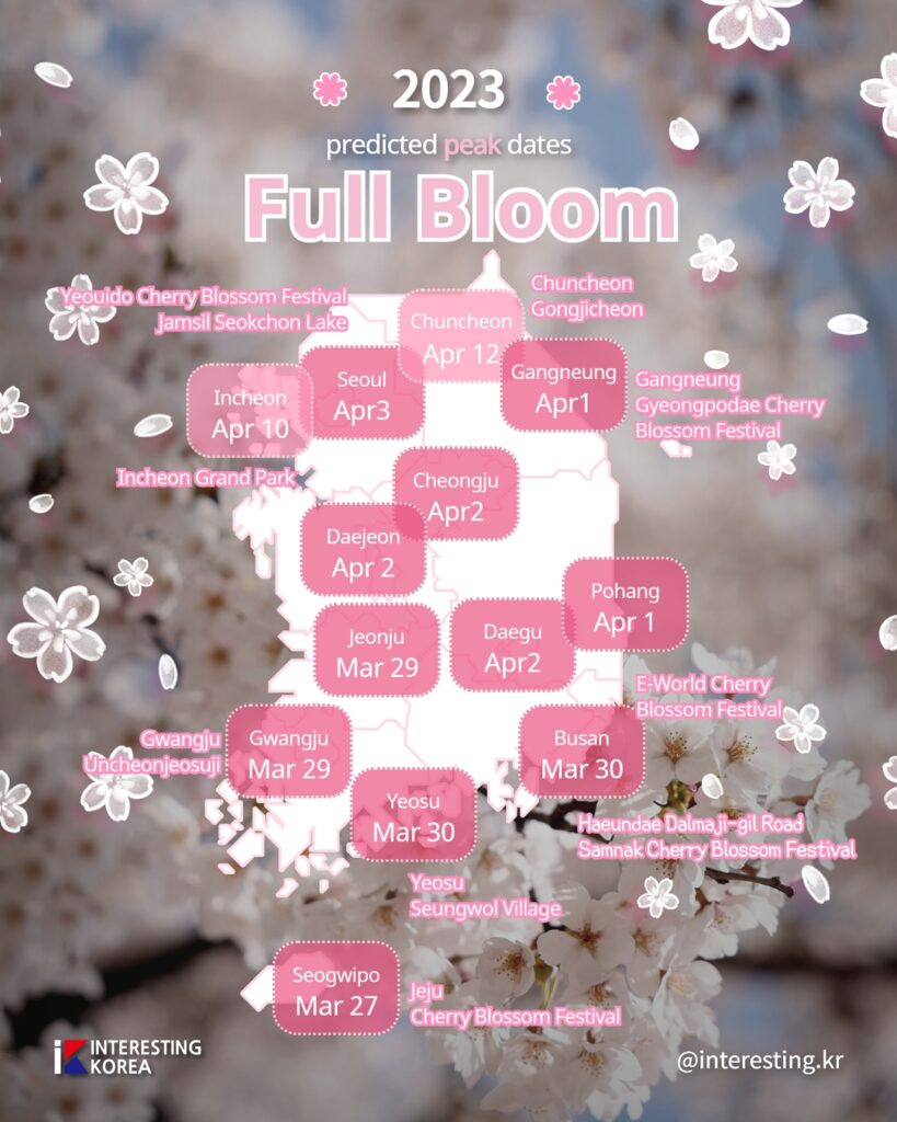 When and Where to See Cherry Blossom 2023 in Korea Interesting Korea