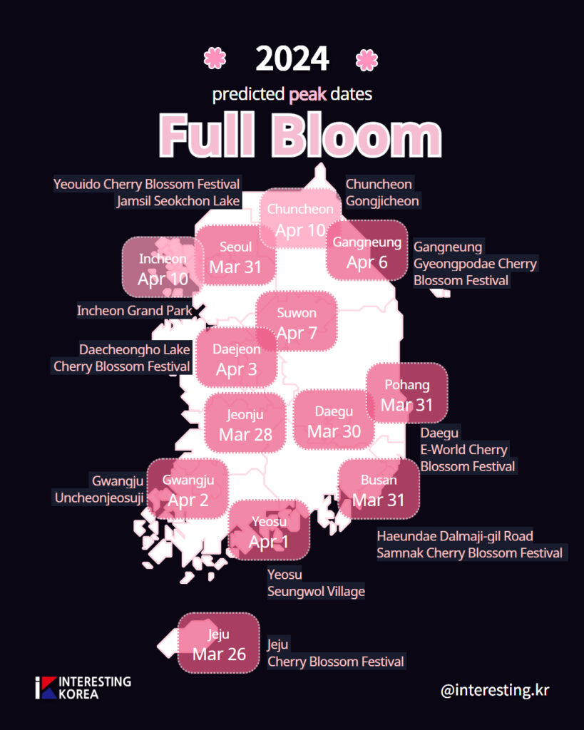 When and Where to See Cherry Blossom 2024 in Korea Interesting Korea