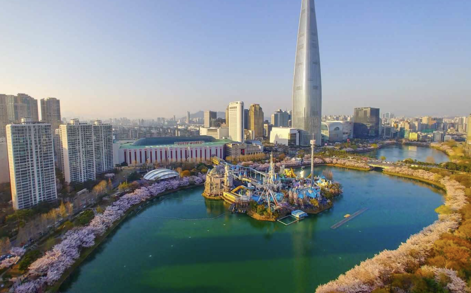cherry-blossoms-in-korea-2025-a-spring-travel-guide-interesting